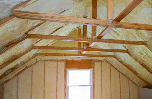 Best Insulation Maintenance and Repair in Brandon, SD