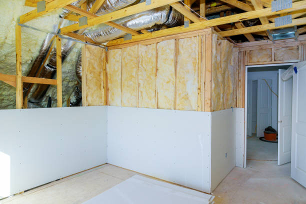 Best Commercial Insulation in Brandon, SD